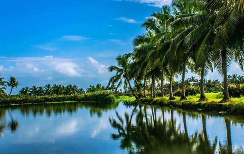 Golden Beach Home Stay Alappuzha Exterior foto